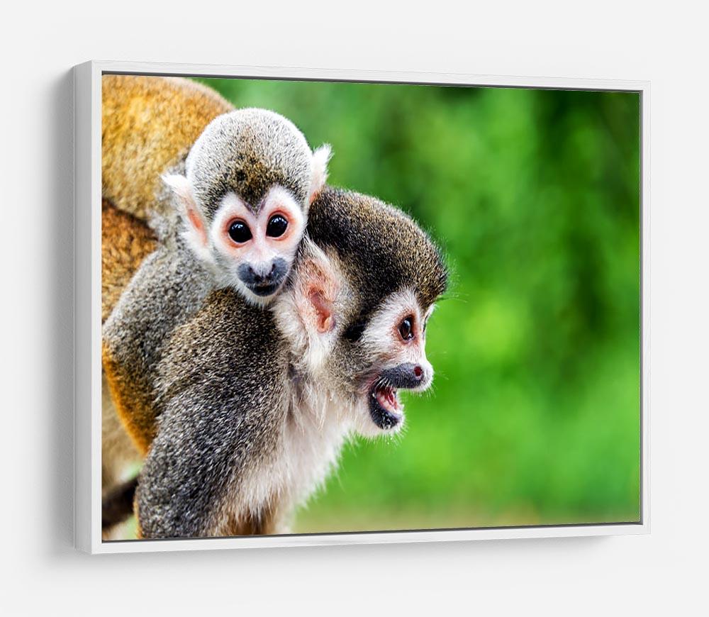 Two squirrel monkeys HD Metal Print - Canvas Art Rocks - 7