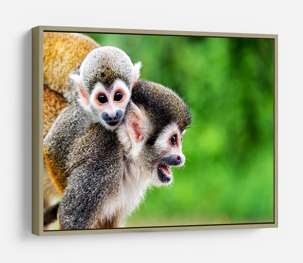 Two squirrel monkeys HD Metal Print - Canvas Art Rocks - 8