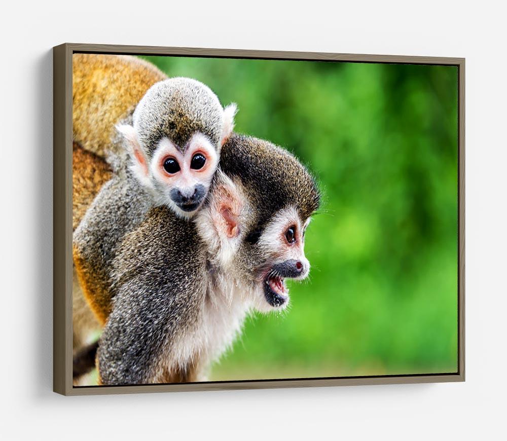 Two squirrel monkeys HD Metal Print - Canvas Art Rocks - 10