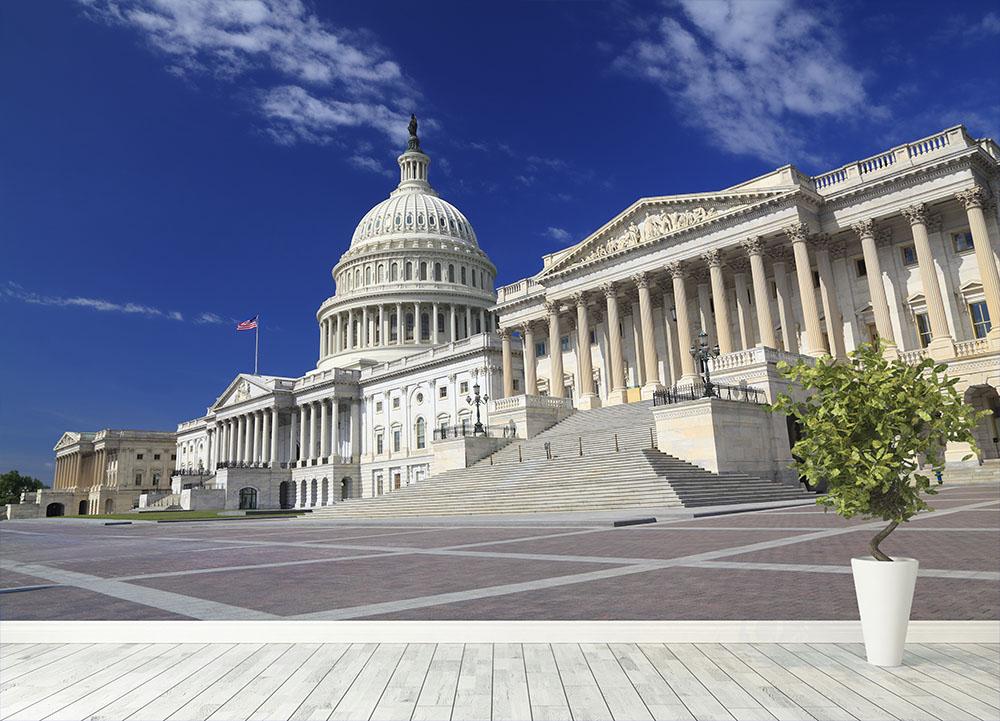 US Capitol Washington DC Wall Mural Wallpaper - Canvas Art Rocks - 4