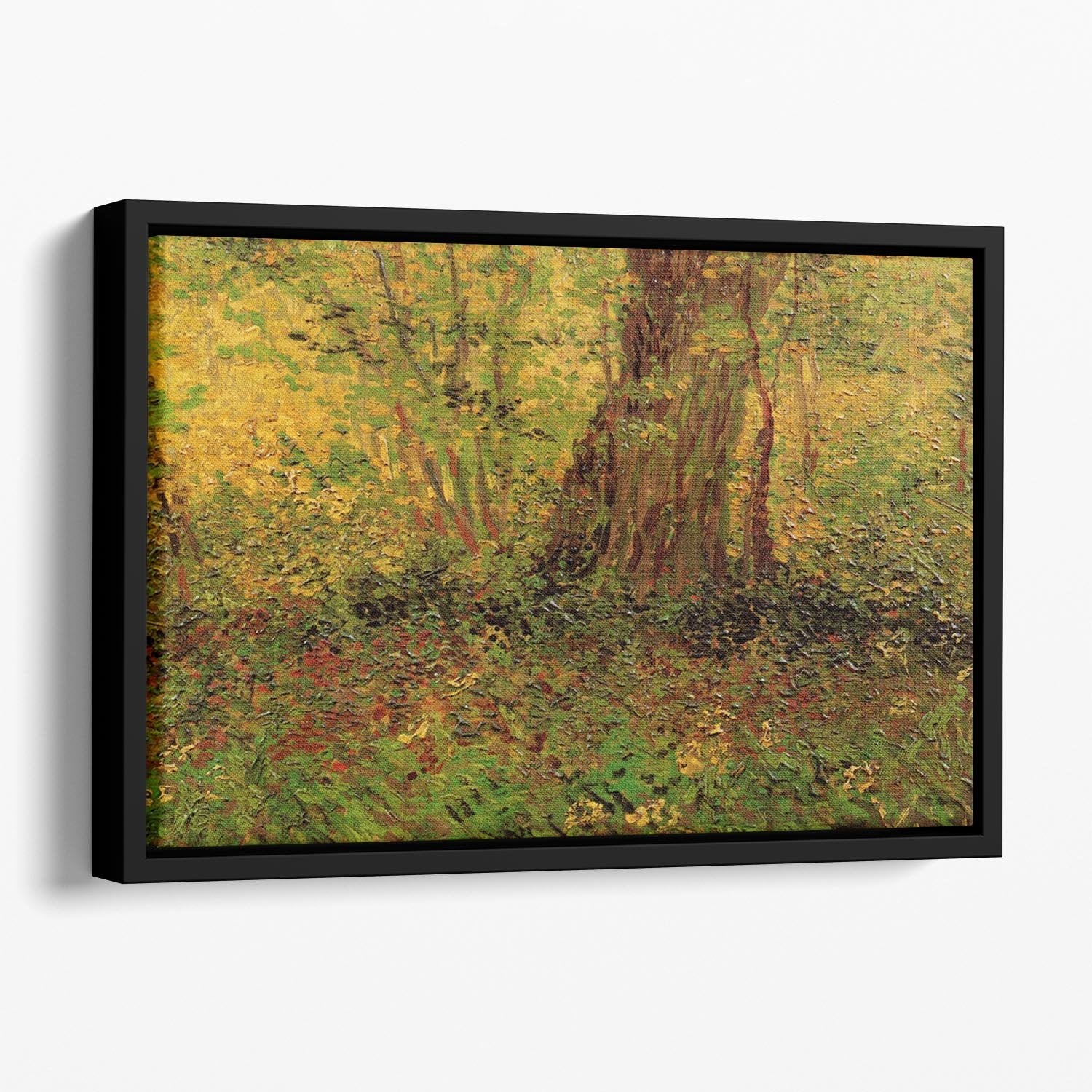 Undergrowth 2 by Van Gogh Floating Framed Canvas