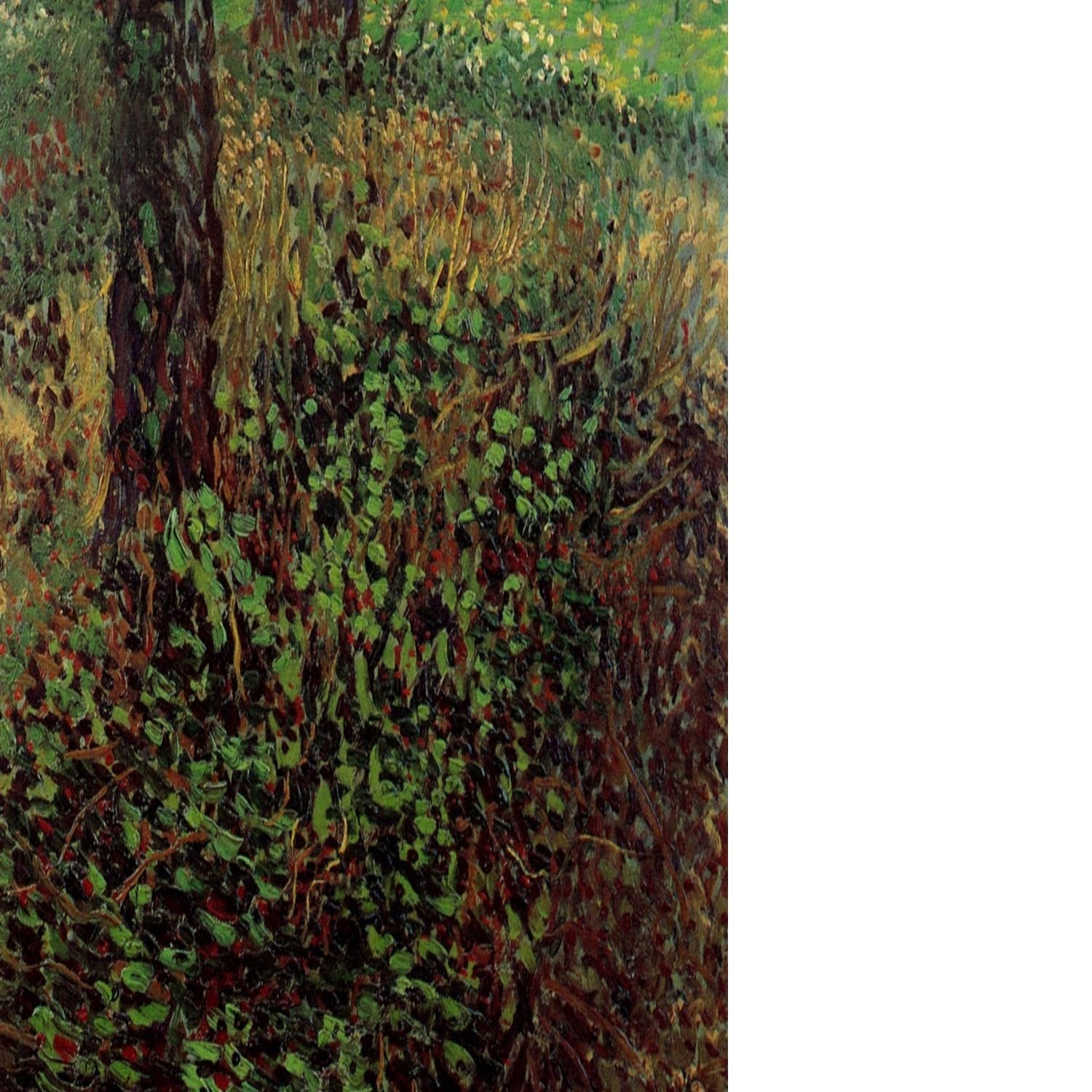 Undergrowth by Van Gogh Floating Framed Canvas