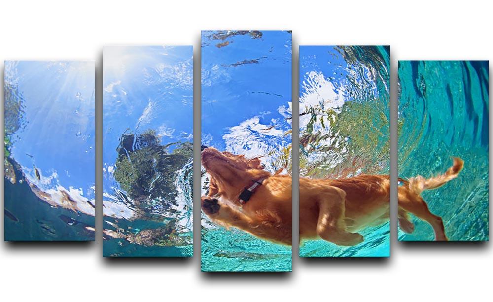 Underwater photo of golden labrador retriever puppy 5 Split Panel Canvas - Canvas Art Rocks - 1