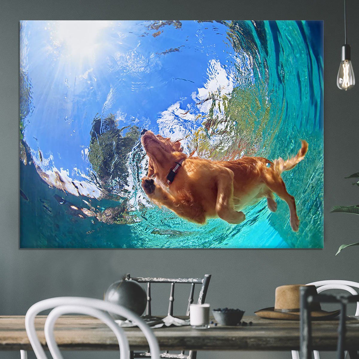 Underwater photo of golden labrador retriever puppy Canvas Print or Poster