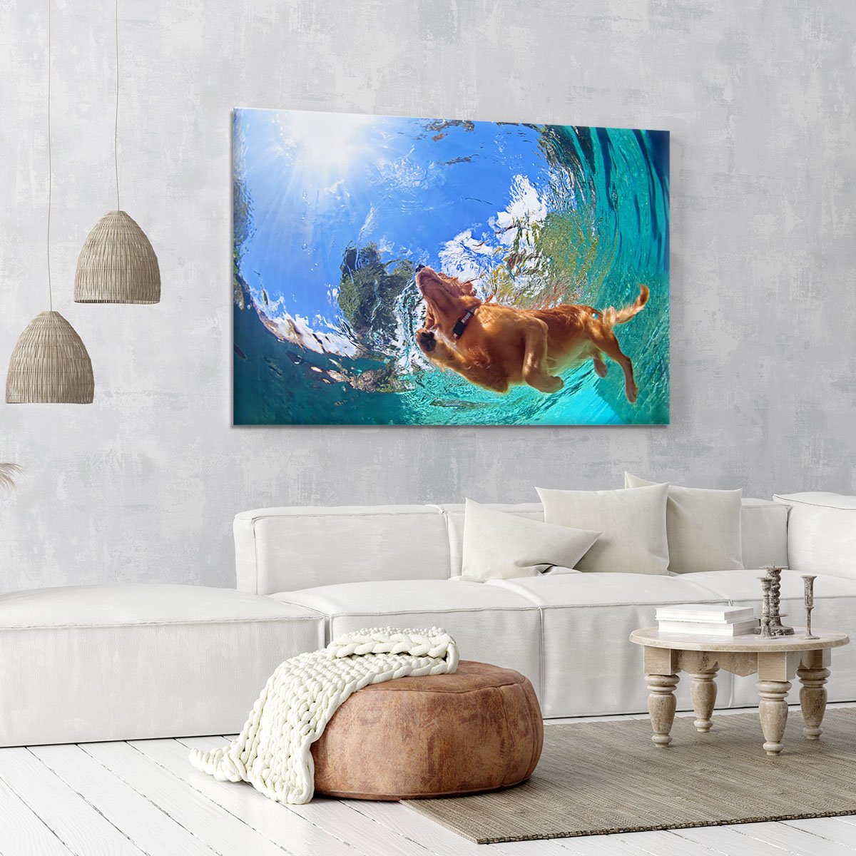 Underwater photo of golden labrador retriever puppy Canvas Print or Poster