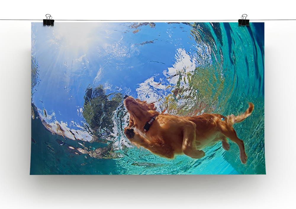 Underwater photo of golden labrador retriever puppy Canvas Print or Poster - Canvas Art Rocks - 2