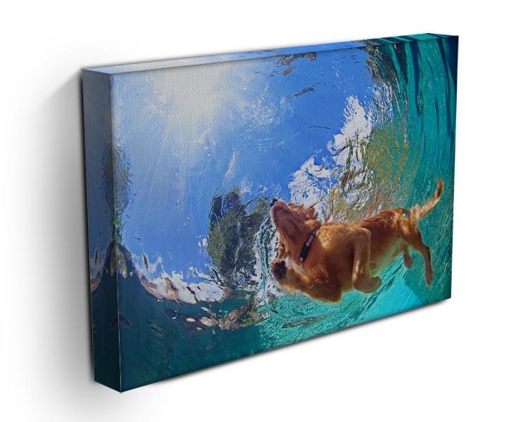 Underwater photo of golden labrador retriever puppy Canvas Print or Poster - Canvas Art Rocks - 3