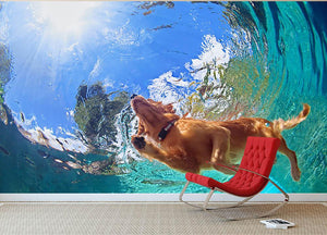 Underwater photo of golden labrador retriever puppy Wall Mural Wallpaper - Canvas Art Rocks - 2