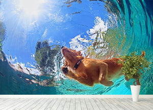 Underwater photo of golden labrador retriever puppy Wall Mural Wallpaper - Canvas Art Rocks - 4