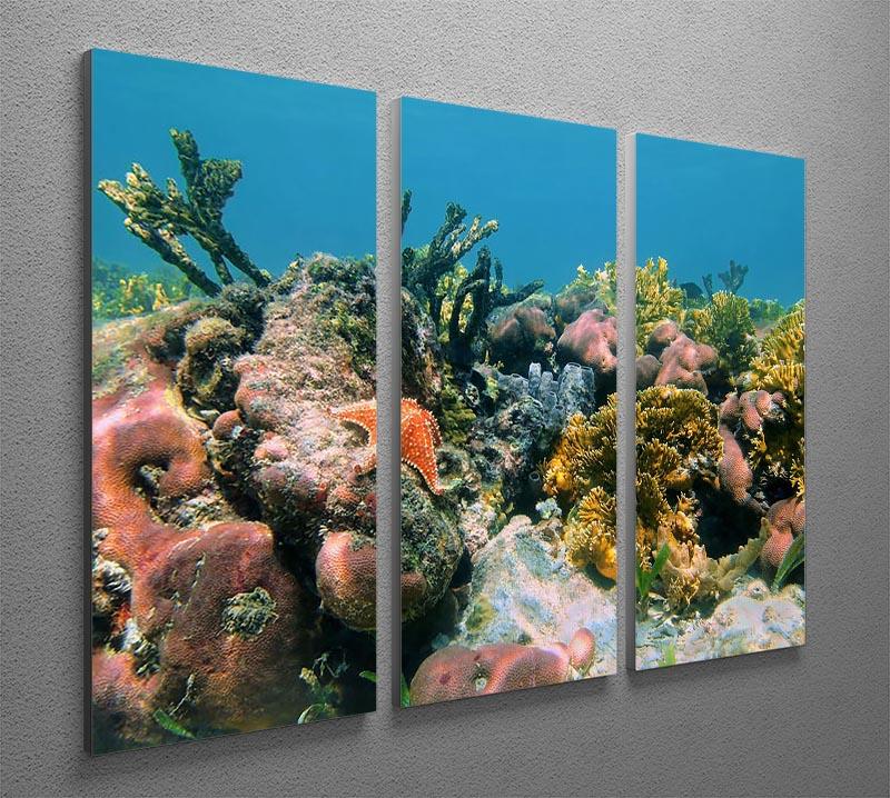 Underwater reef in the Caribbean sea with corals sponges and a starfish 3 Split Panel Canvas Print - Canvas Art Rocks - 2