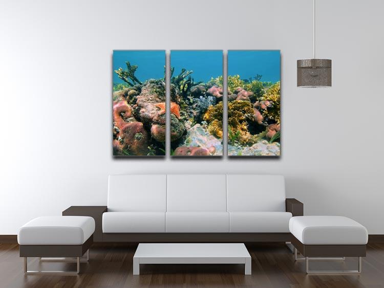 Underwater reef in the Caribbean sea with corals sponges and a starfish 3 Split Panel Canvas Print - Canvas Art Rocks - 3