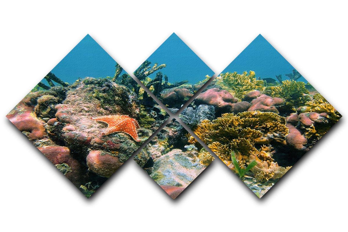 Underwater reef in the Caribbean sea with corals sponges and a starfish 4 Square Multi Panel Canvas - Canvas Art Rocks - 1