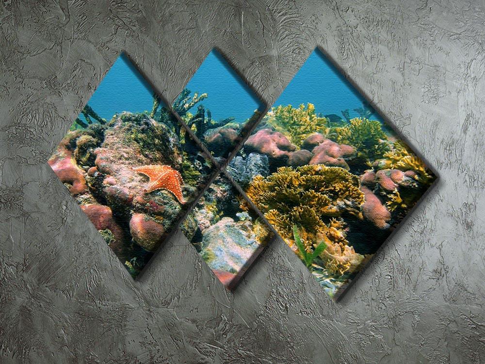 Underwater reef in the Caribbean sea with corals sponges and a starfish 4 Square Multi Panel Canvas - Canvas Art Rocks - 2