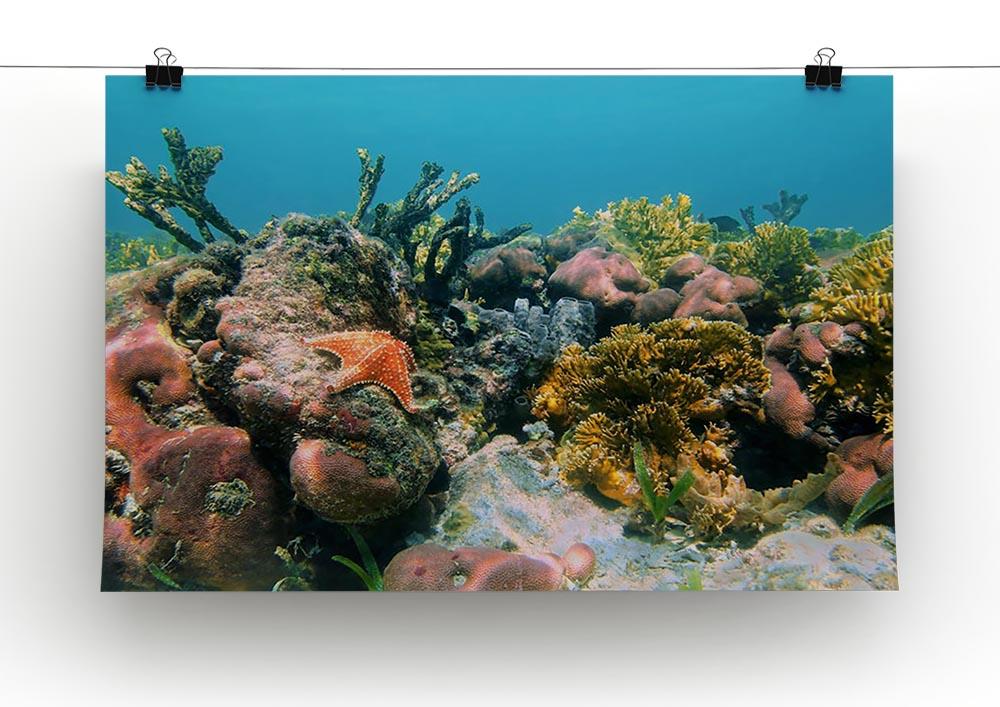 Underwater reef in the Caribbean sea with corals sponges and a starfish Canvas Print or Poster - Canvas Art Rocks - 2
