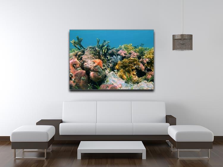 Underwater reef in the Caribbean sea with corals sponges and a starfish Canvas Print or Poster - Canvas Art Rocks - 4
