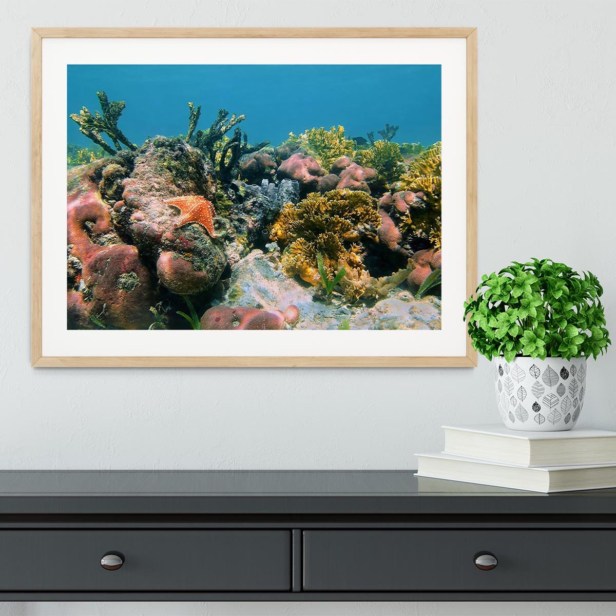 Underwater reef in the Caribbean sea with corals sponges and a starfish Framed Print - Canvas Art Rocks - 3
