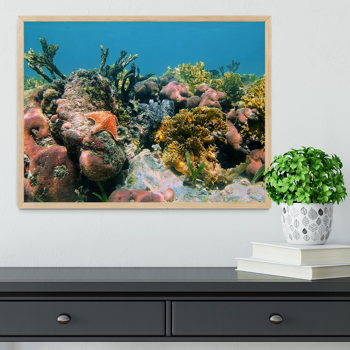 Underwater reef in the Caribbean sea with corals sponges and a starfish Framed Print - Canvas Art Rocks - 4