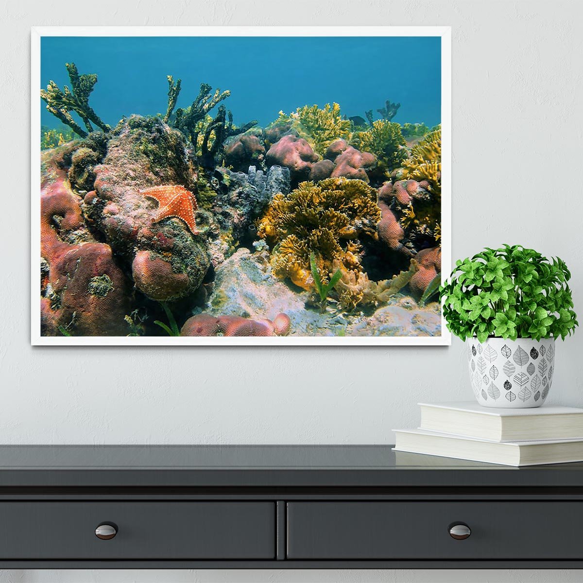 Underwater reef in the Caribbean sea with corals sponges and a starfish Framed Print - Canvas Art Rocks -6