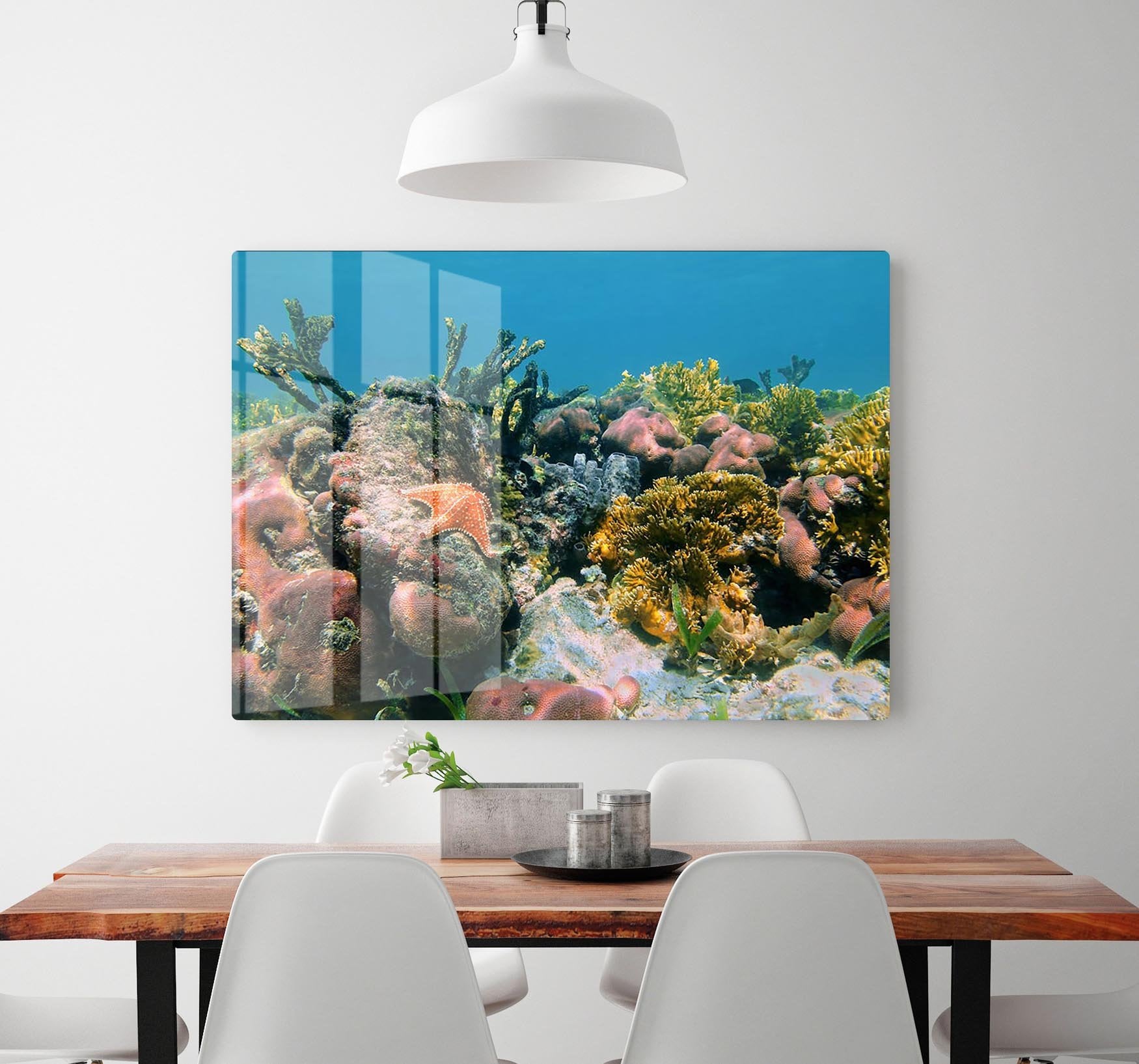 Underwater reef in the Caribbean sea with corals sponges and a starfish HD Metal Print - Canvas Art Rocks - 2
