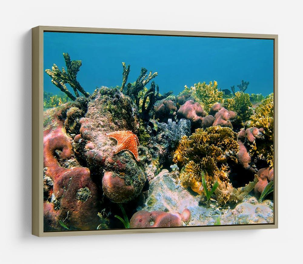 Underwater reef in the Caribbean sea with corals sponges and a starfish HD Metal Print - Canvas Art Rocks - 8