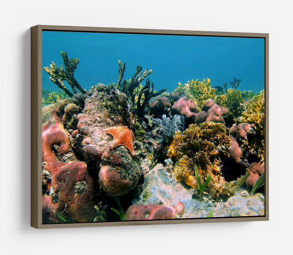 Underwater reef in the Caribbean sea with corals sponges and a starfish HD Metal Print - Canvas Art Rocks - 10