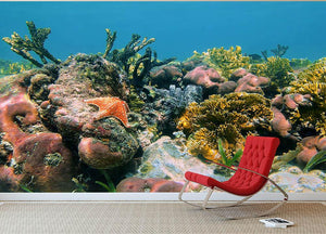 Underwater reef in the Caribbean sea with corals sponges and a starfish Wall Mural Wallpaper - Canvas Art Rocks - 2