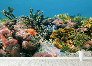 Underwater reef in the Caribbean sea with corals sponges and a starfish Wall Mural Wallpaper - Canvas Art Rocks - 4