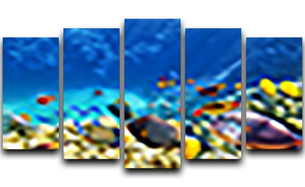 Underwater world 5 Split Panel Canvas  - Canvas Art Rocks - 1