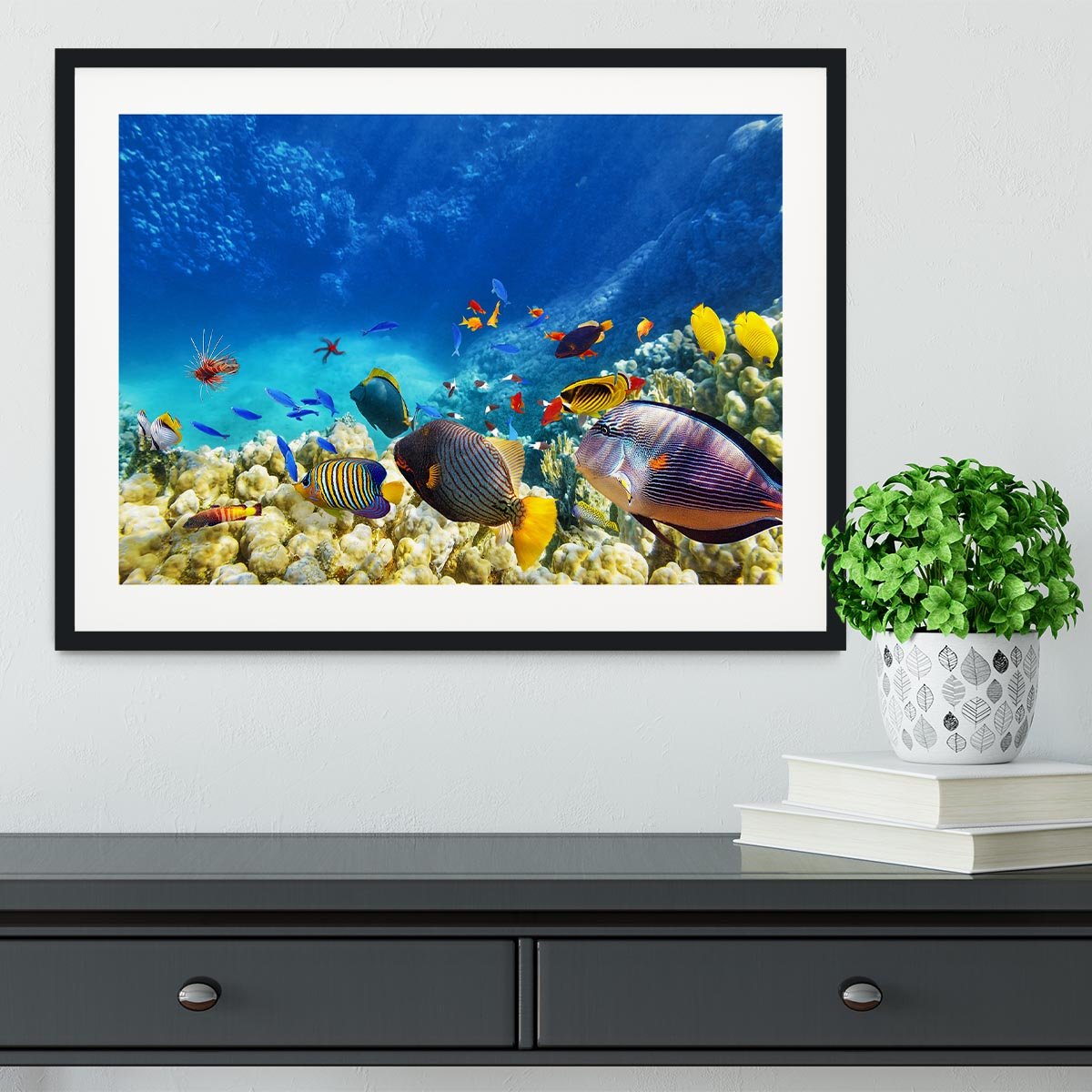 Underwater world Framed Print - Canvas Art Rocks - 1