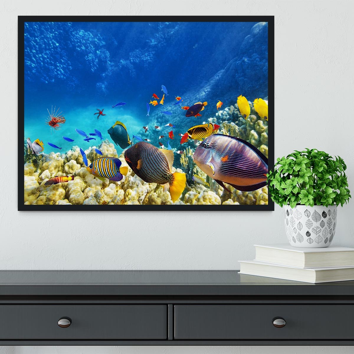 Underwater world Framed Print - Canvas Art Rocks - 2