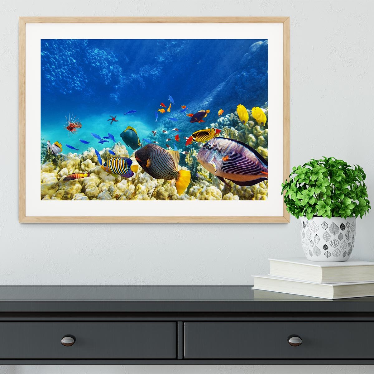 Underwater world Framed Print - Canvas Art Rocks - 3