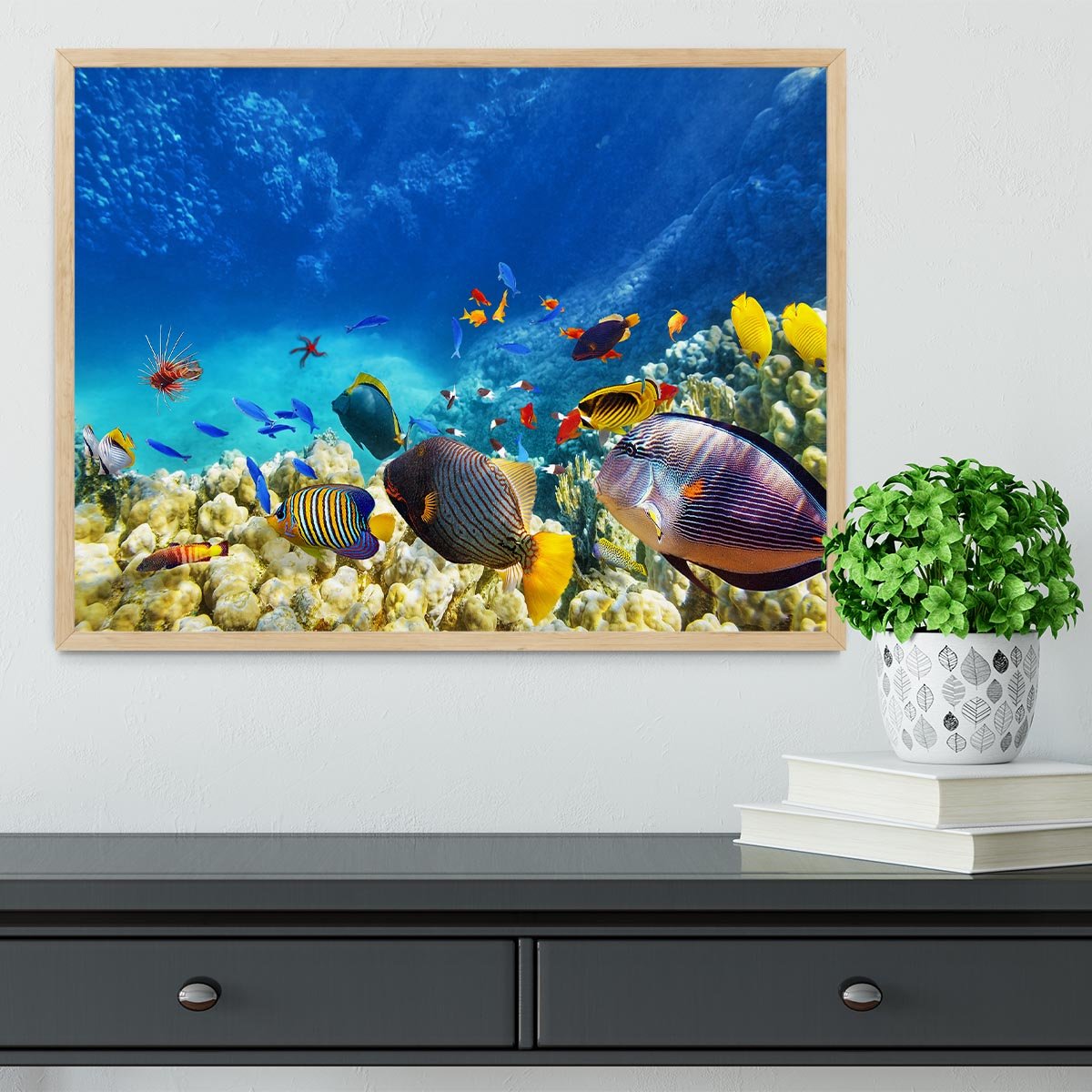 Underwater world Framed Print - Canvas Art Rocks - 4