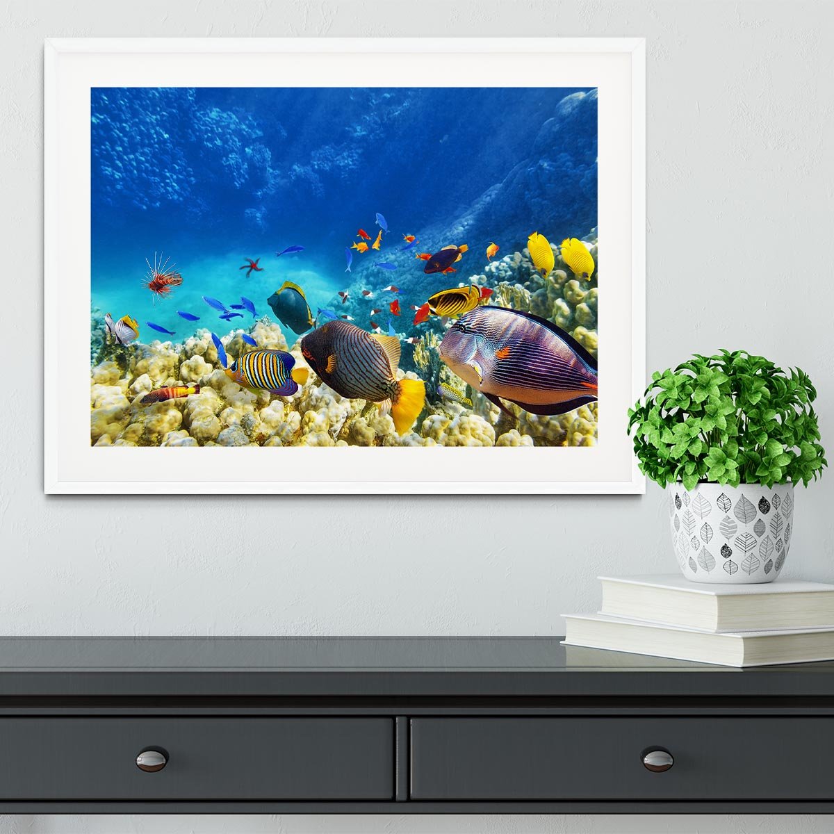 Underwater world Framed Print - Canvas Art Rocks - 5