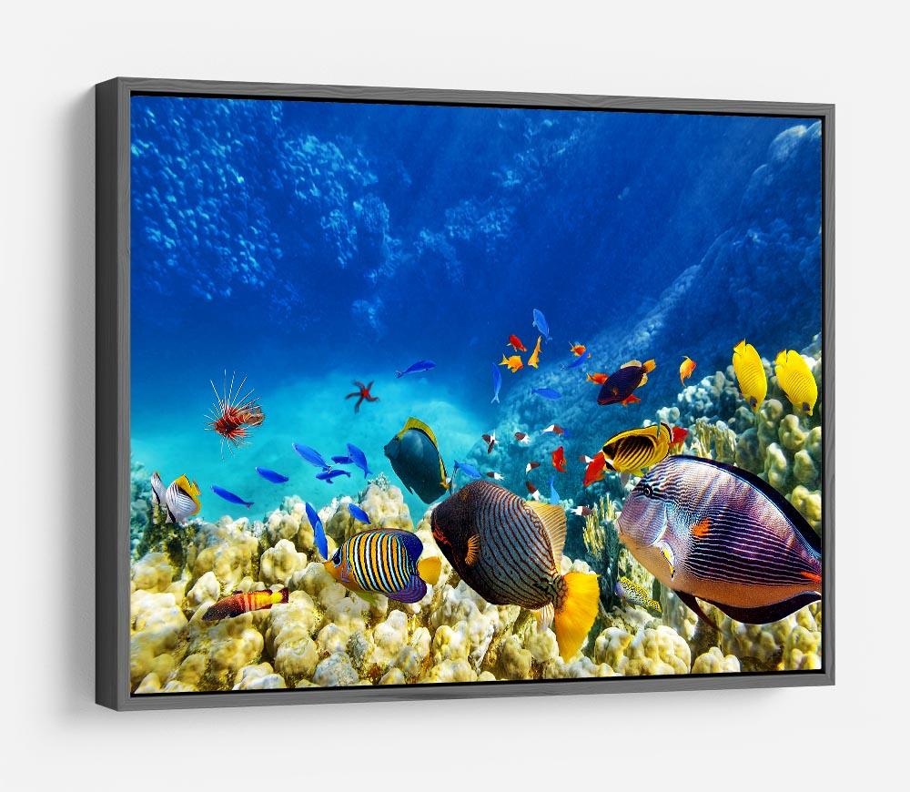 Underwater world HD Metal Print