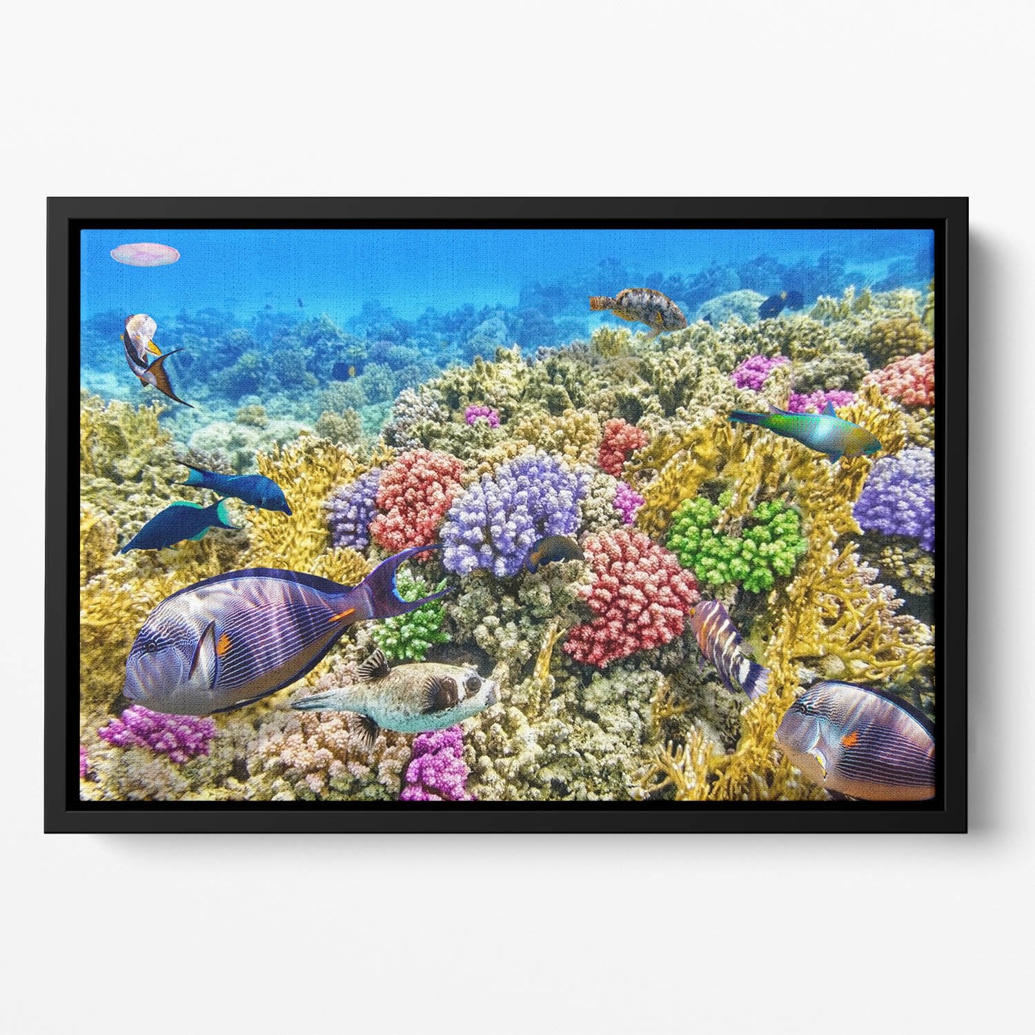 Underwater world with corals and tropical fish Floating Framed Canvas