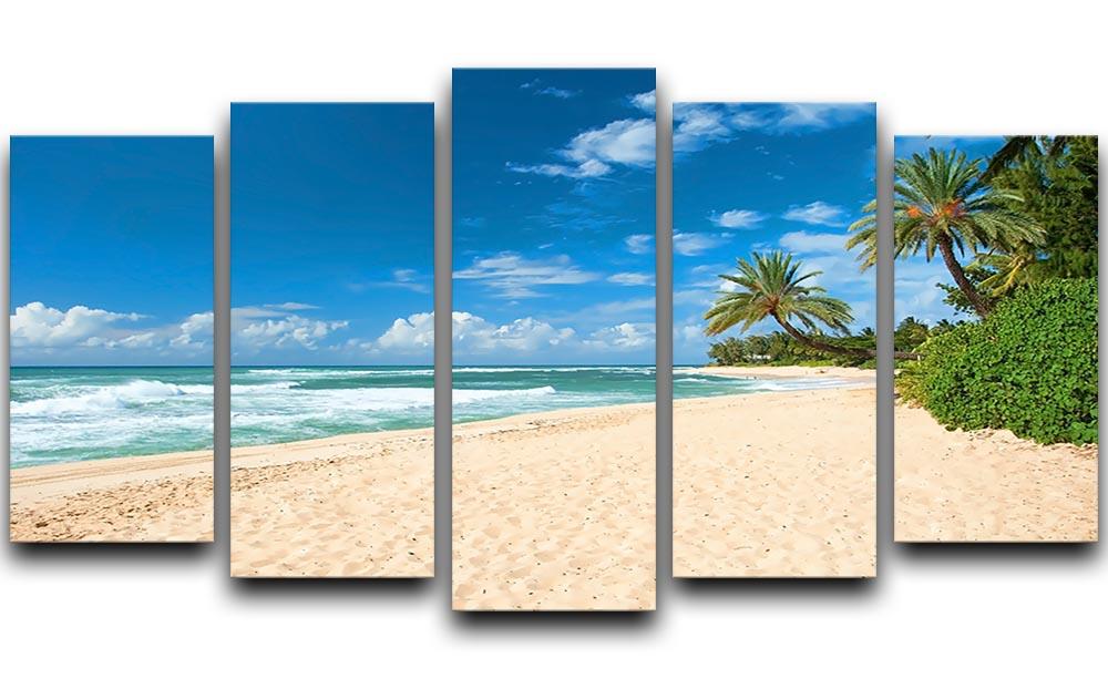 Untouched sandy beach with palms trees 5 Split Panel Canvas - Canvas Art Rocks - 1