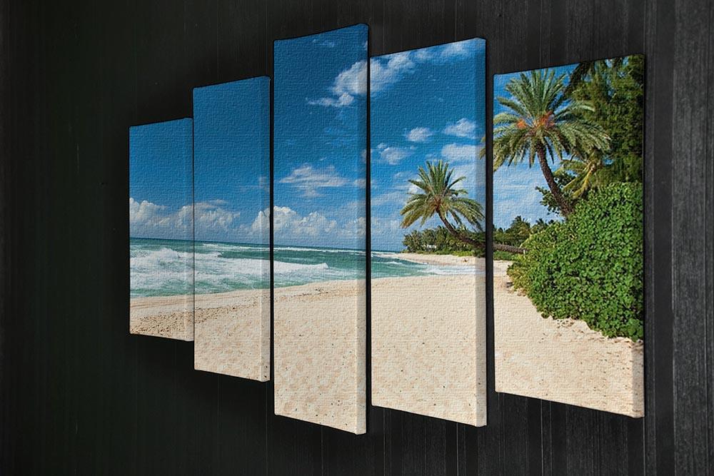 Untouched sandy beach with palms trees 5 Split Panel Canvas - Canvas Art Rocks - 2