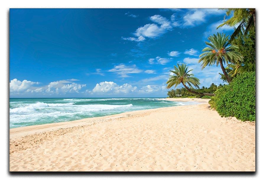Untouched sandy beach with palms trees Canvas Print or Poster - Canvas Art Rocks - 1
