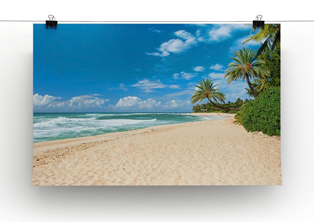 Untouched sandy beach with palms trees Canvas Print or Poster - Canvas Art Rocks - 2