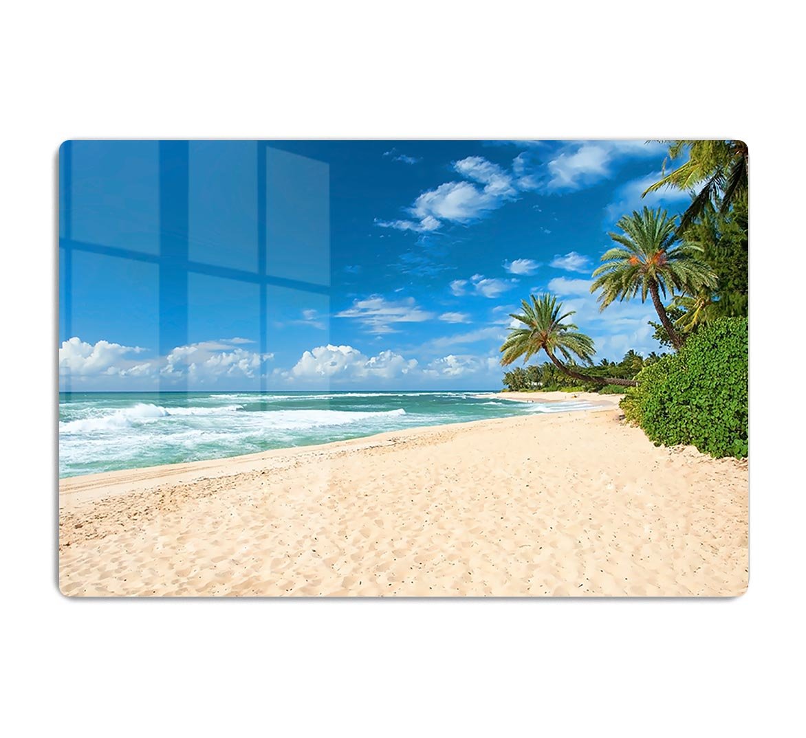 Untouched sandy beach with palms trees HD Metal Print - Canvas Art Rocks - 1