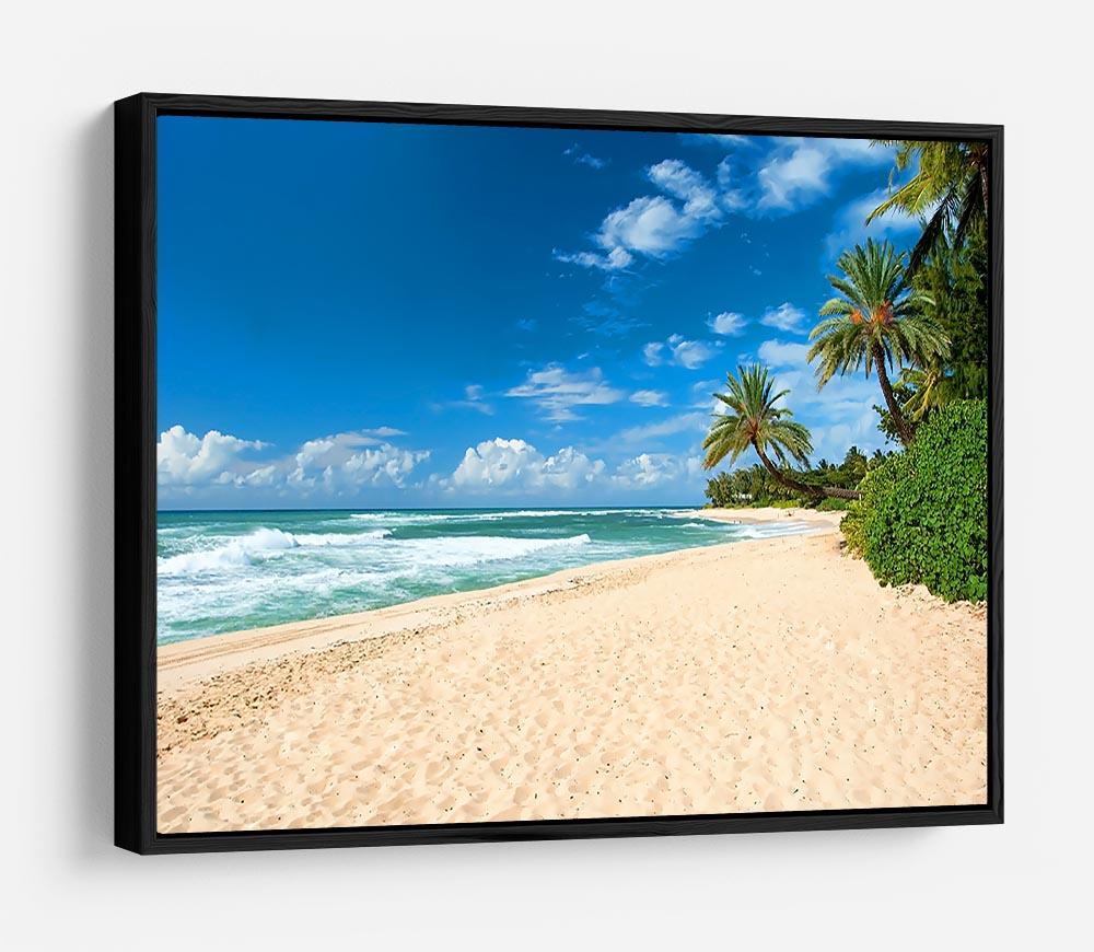 Untouched sandy beach with palms trees HD Metal Print - Canvas Art Rocks - 6