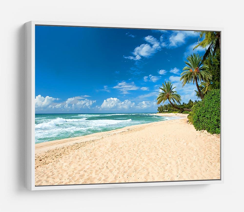 Untouched sandy beach with palms trees HD Metal Print - Canvas Art Rocks - 7