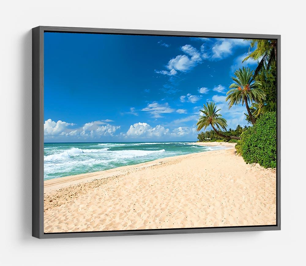 Untouched sandy beach with palms trees HD Metal Print - Canvas Art Rocks - 9