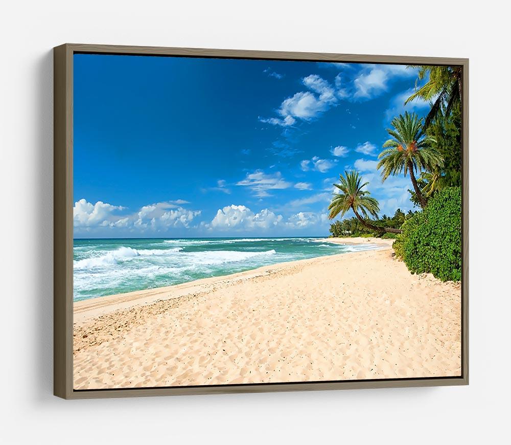Untouched sandy beach with palms trees HD Metal Print - Canvas Art Rocks - 10