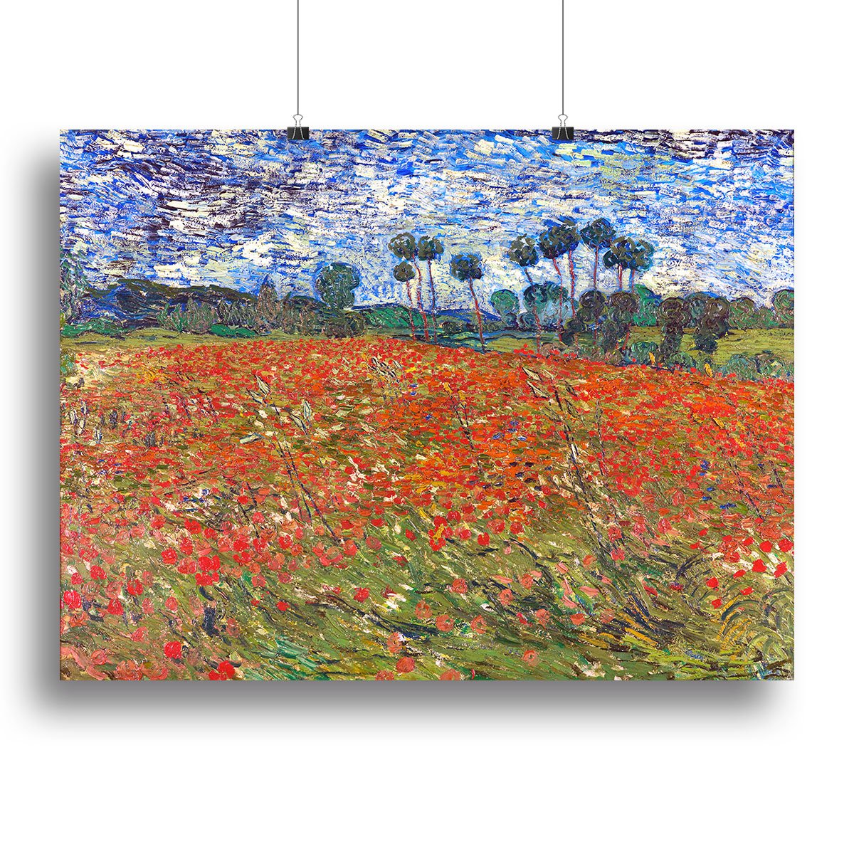 Van Gogh Poppies Field Canvas Print or Poster
