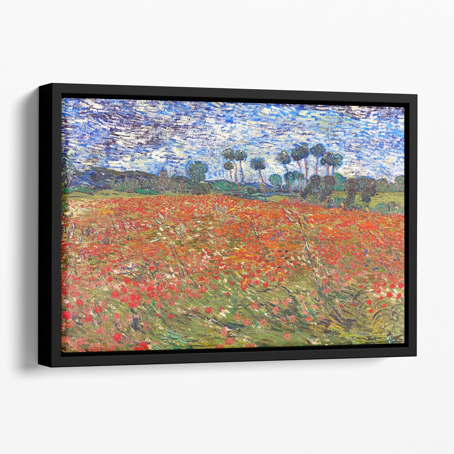 Van Gogh Poppies Field Floating Framed Canvas