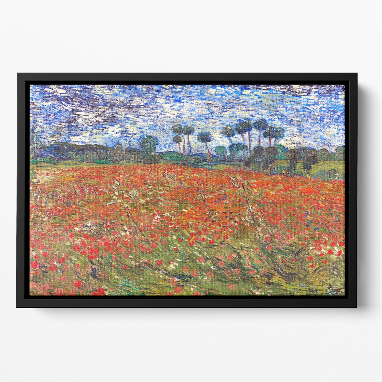 Van Gogh Poppies Field Floating Framed Canvas
