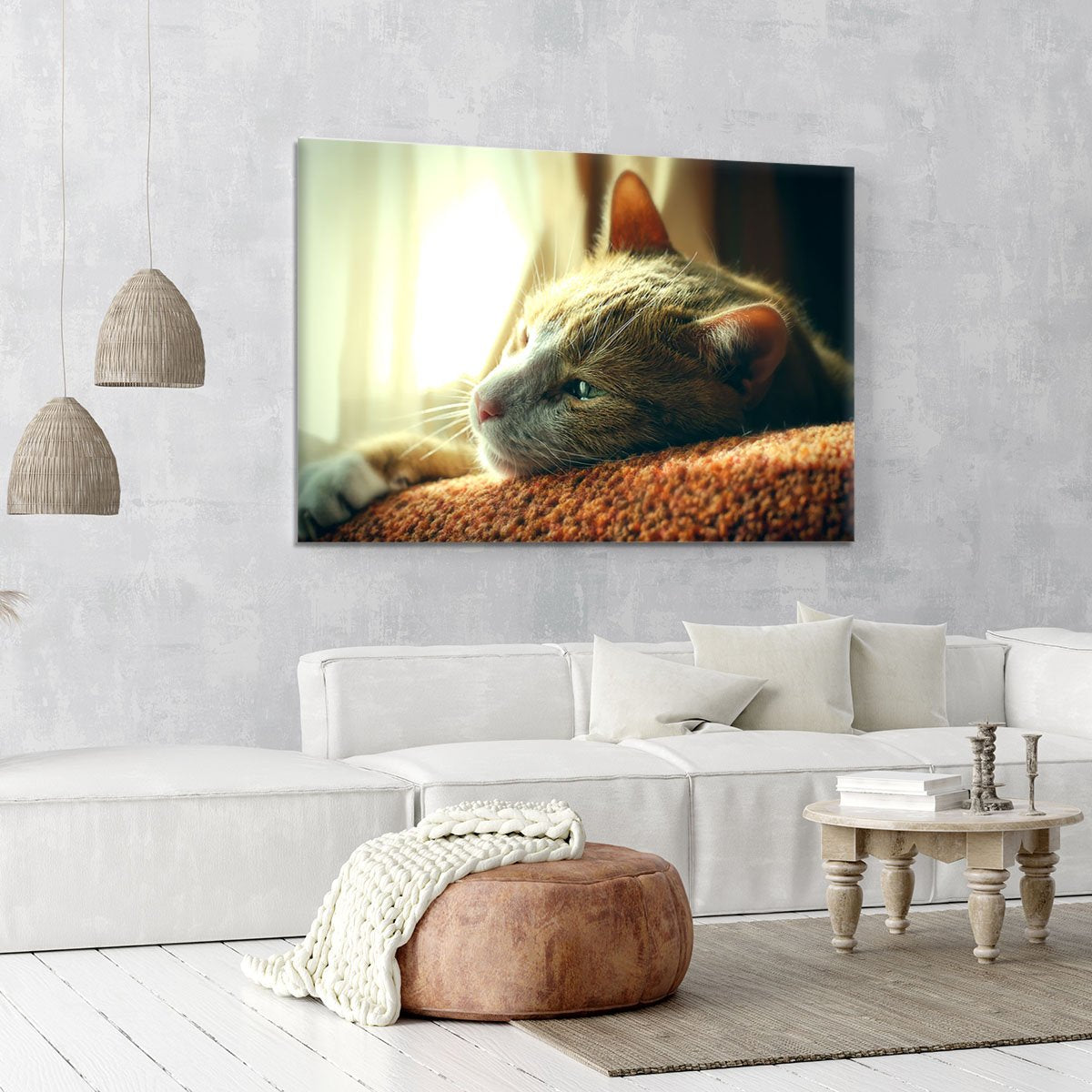Very Sad Red Cat Canvas Print or Poster