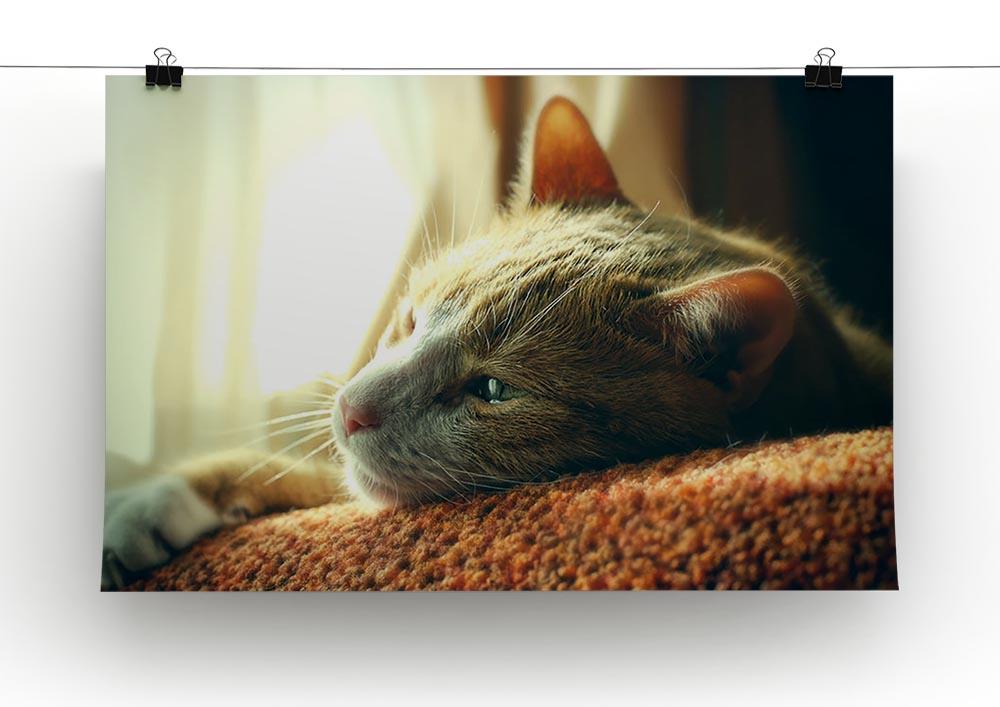 Very Sad Red Cat Canvas Print or Poster - Canvas Art Rocks - 2