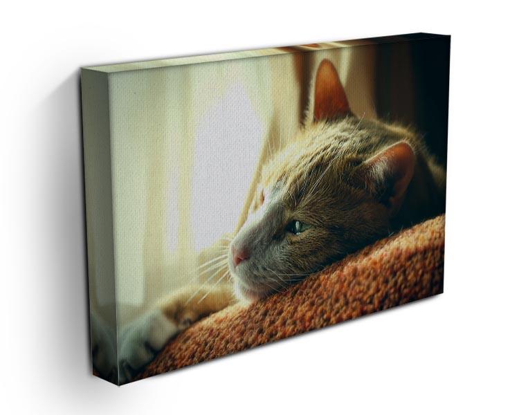 Very Sad Red Cat Canvas Print or Poster - Canvas Art Rocks - 3